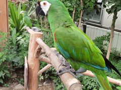 -南宫五洲植物乐园