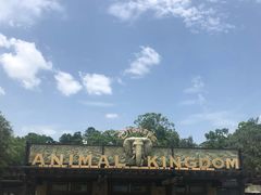 -奥兰多迪士尼动物王国乐园