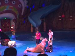 -烟台海昌鲸鲨海洋公园