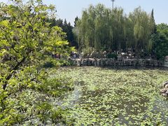 -莲池书院博物馆