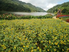 -广州市石门国家森林公园