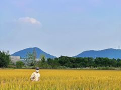 -良渚古城遗址公园