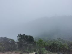 -梧桐山风景名胜区