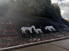 -哈尔滨北方森林动物园