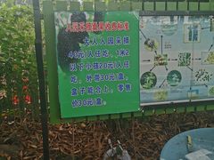 -光明农场大观园