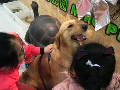 -米卢宠物公园(广华居店)
