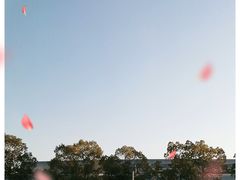 -上海汽车博物馆