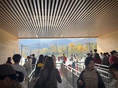 -千年银杏谷文化旅游区