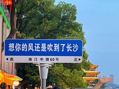 -杜甫江阁