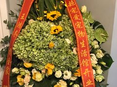 -超宠爱宠物摄影-Super pet