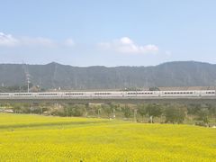 -光明小镇欢乐田园