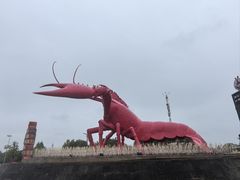 -虾皇(龙虾城旗舰店)