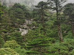 -苍山感通索道