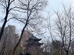 -堤角公园