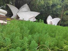 -深圳国际园林花卉博览园