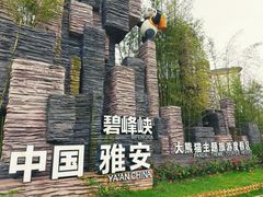 -中国大熊猫保护研究中心雅安碧峰峡基地