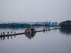 -鲁镇