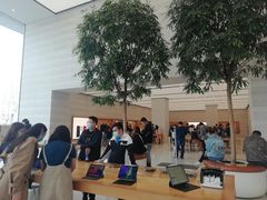 -Apple零售店(济南恒隆广场店)