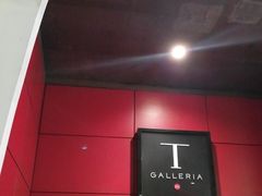 -DFS旗下T广场(新加坡店)