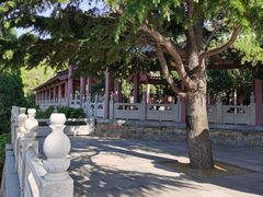 -龙口南山旅游景区