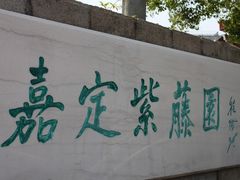 -嘉定紫藤园