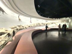 -自贡恐龙博物馆