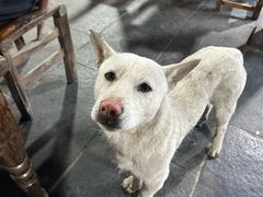 -苗族饮食文化传习所