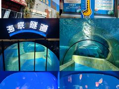 -洛阳龙门海洋馆