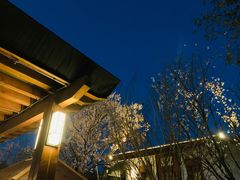 -思念果岭悦温泉