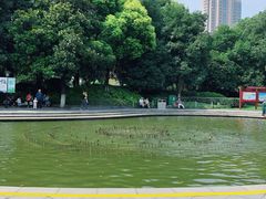 -常州古运河南大街文化旅游区-人民公园