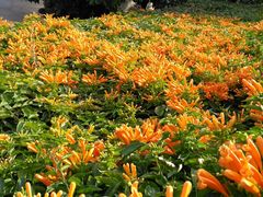 -厦门日月谷温泉渡假村