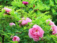 -大钟寺古钟博物馆