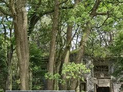 -缙云山景区