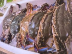 -海立阁海鲜江浙菜(漕河泾印象城店)