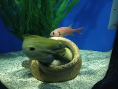 -锦艺城海洋馆
