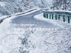 -龙苍沟森林公园