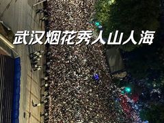 -武昌江滩