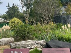 -东湖落雁景区