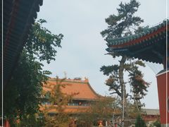 -天津大悲禅院
