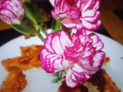 -蜀江龙火锅(339店)