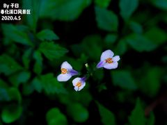 -溪口-滕头旅游景区