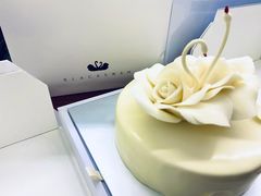 -BLACKSWAN黑天鹅(环球店)