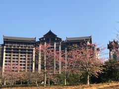 -清远熹乐谷温泉度假酒店