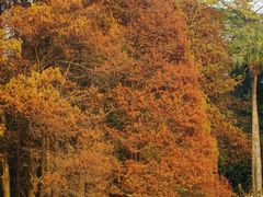 -华南国家植物园-售票处