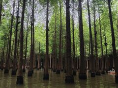 -捞渔河湿地公园