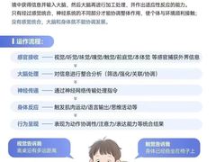 -金色雨林感统训练·专注力·语言认知·心理沙盘(天通苑校区)
