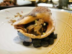 火焰海螺-德川家日本料理(中关村寰太大厦店)