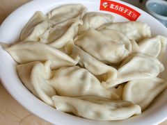 招牌鲅鱼水饺-北方饺子王·海肠捞饭·海鲜锅(山大店)