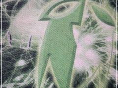 -小猫钓鱼海钓俱乐部(椰梦长廊店)