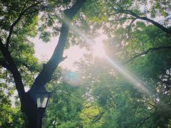 -北京国子监胡同